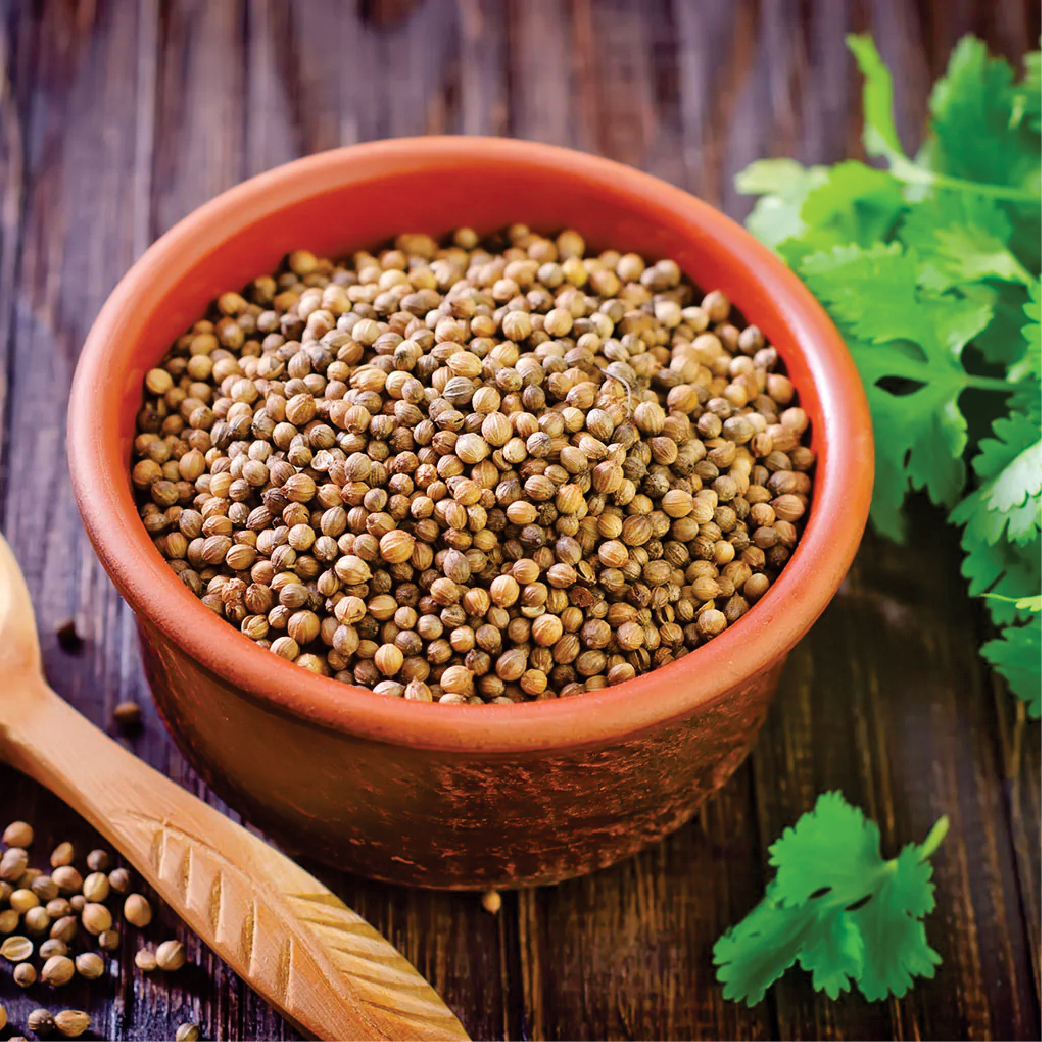 Coriander Seeds