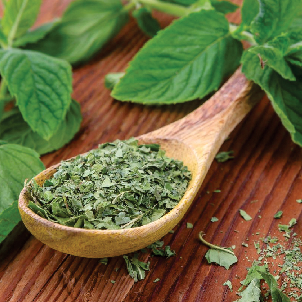 Dried Mint Leaves