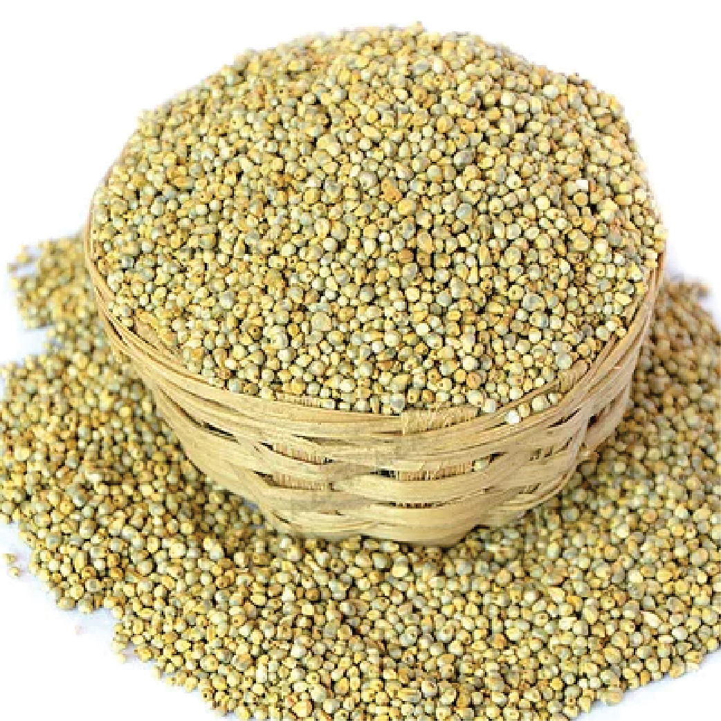 Green Millet Bold