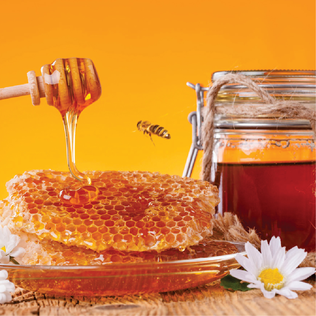Honey (Pakistan Origin)