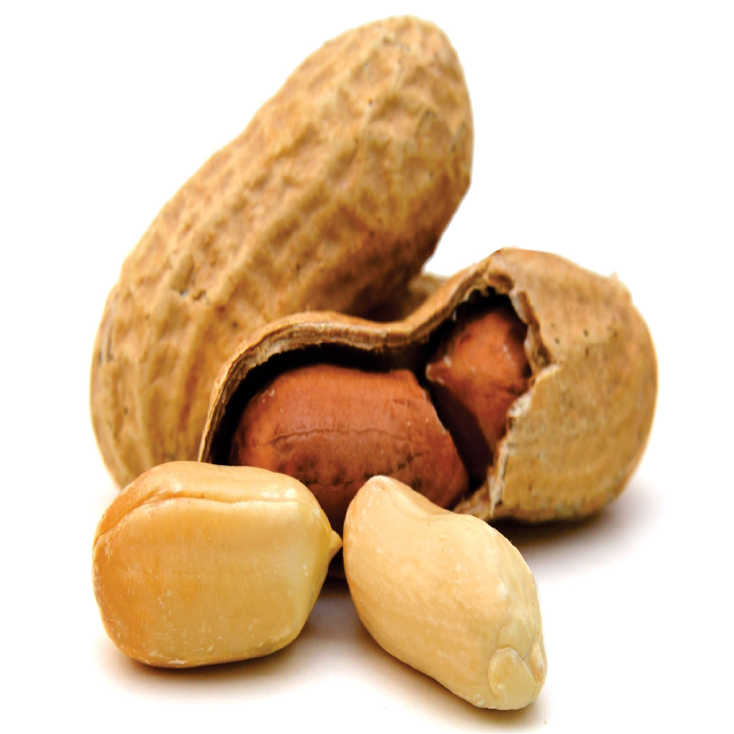 Peanut