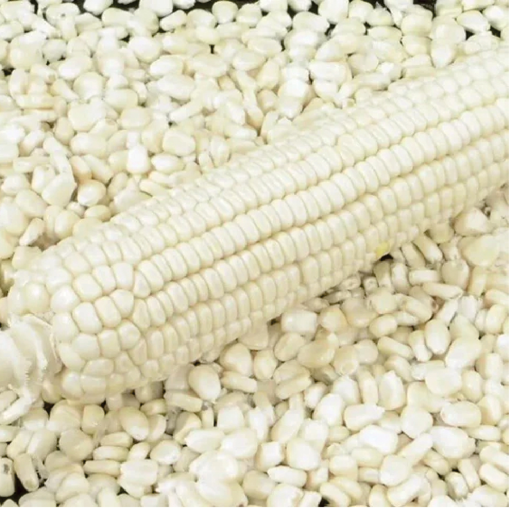 White Maize