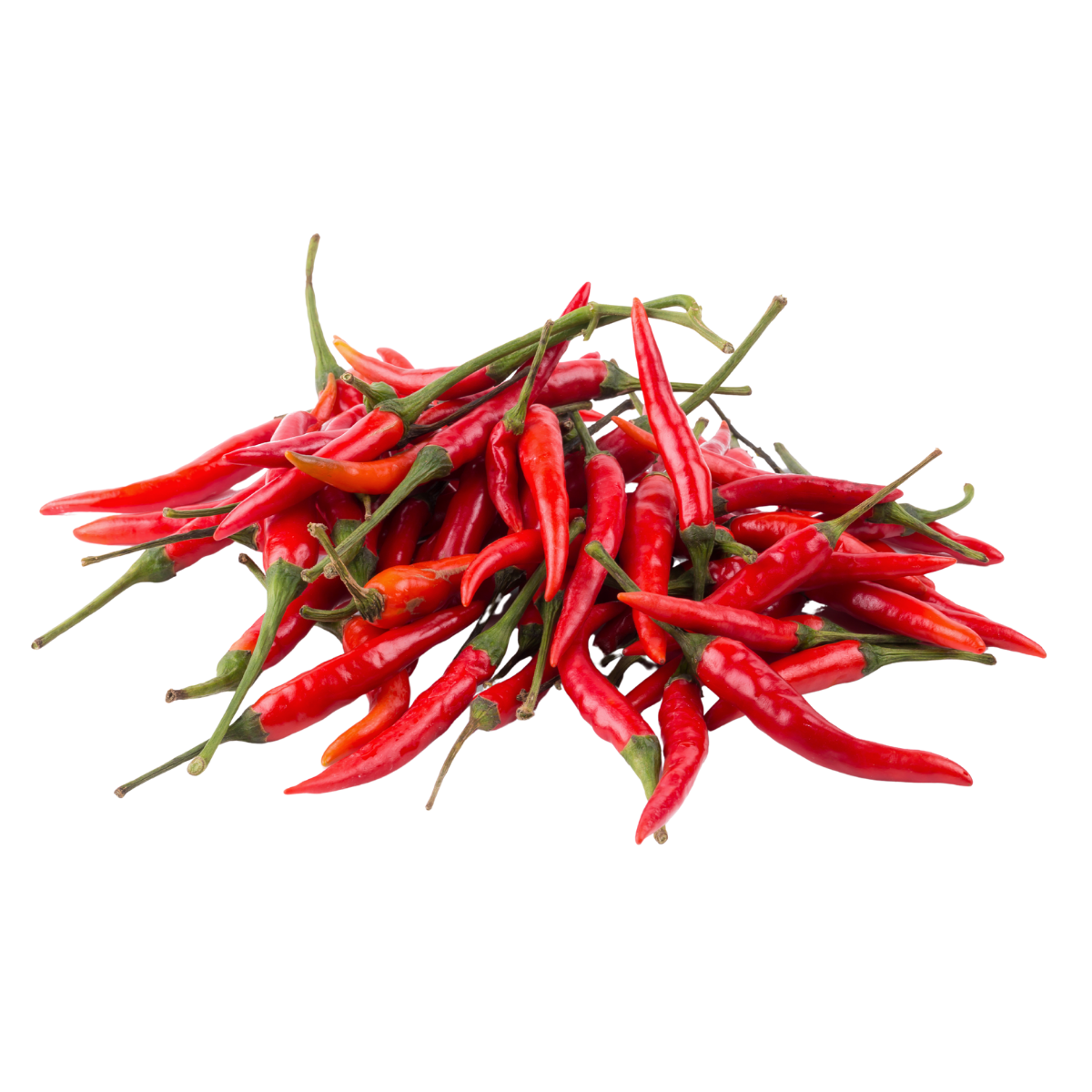 Red Chilli Whole Longi